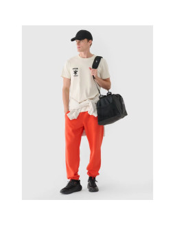 Spodnie dresowe joggery męskie 4f 4fwmm00ttrom1140-62s 2