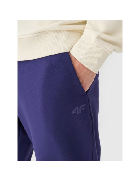 Spodnie dresowe joggery męskie 4f 4fwmm00ttrom1139-31s