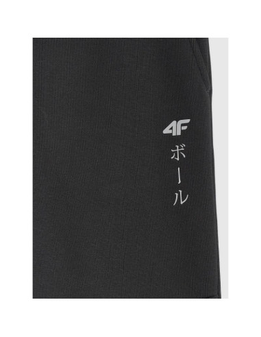 Spodnie joggery 4f jr 4fjraw25ttrom1663