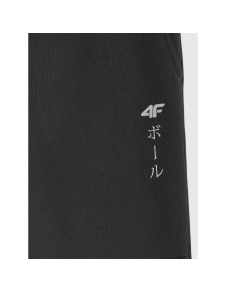 Spodnie joggery 4f jr 4fjraw25ttrom1663