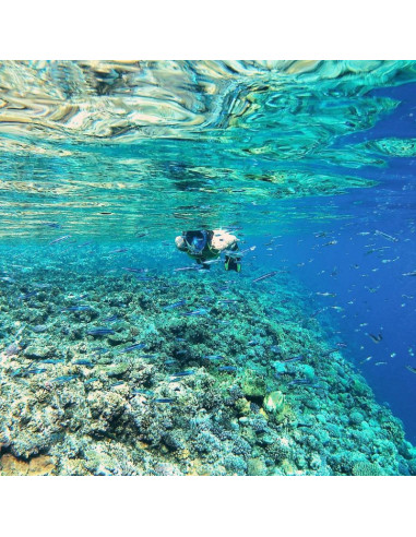 Maska do nurkowania snorkelingu junior best sporting