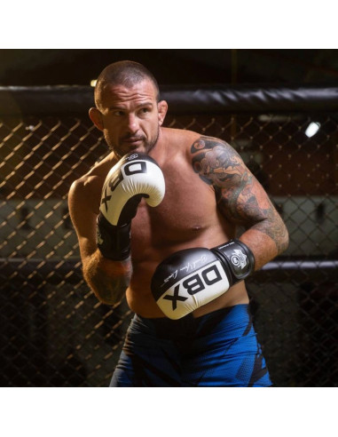 Rękawice bokserskie 10oz - harmony - valor series