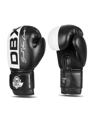 Rękawice bokserskie 10oz - harmony - valor series