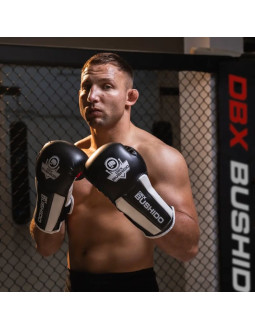 Rękawice bokserskie 10oz - phantom white - valor series 2