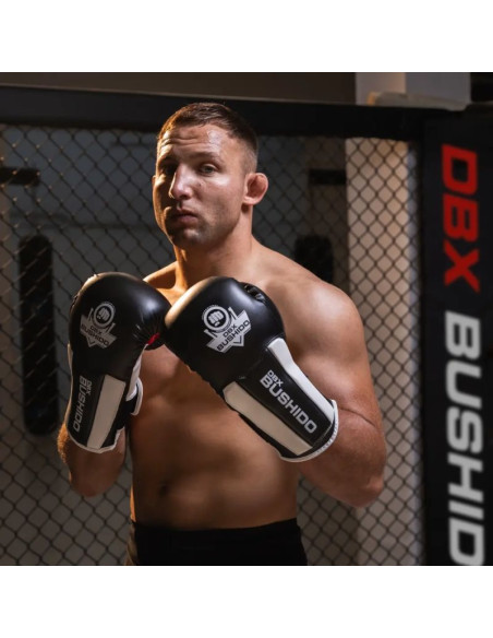 Rękawice bokserskie 10oz - phantom white - valor series