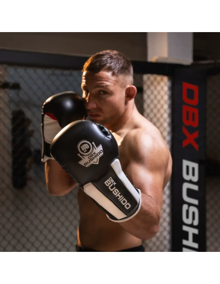 Rękawice bokserskie 10oz - phantom white - valor series