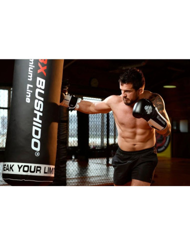 Rękawice bokserskie 10oz - phantom white - valor series