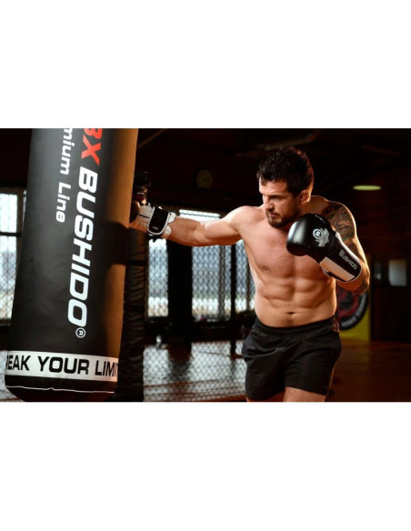 Rękawice bokserskie 10oz - phantom white - valor series