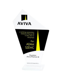 Trofeum szklane grawerowane + wypełnienie farbą 2