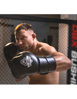 Rękawice bokserskie 10oz - eclipse - origin series 2