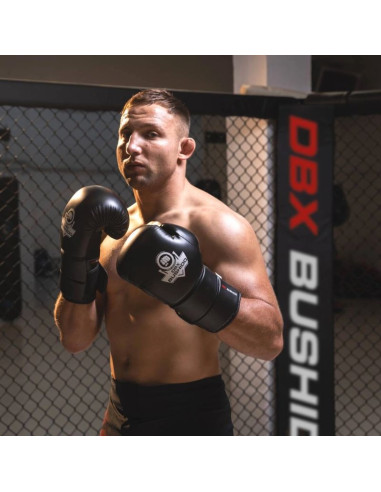 Rękawice bokserskie 10oz - eclipse - origin series