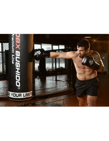 Rękawice bokserskie 10oz - eclipse - origin series