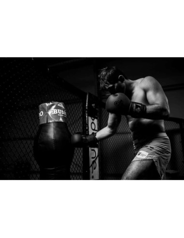 Rękawice bokserskie 10oz - black master -  valor series