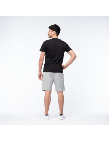 Męskie spodenki ichiro shorts