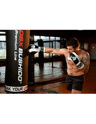 Rękawice bokserskie 10oz - edge - valor series