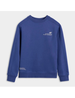 Bluza dresowa nierozpinana bez kaptura chłopięca 4f 4fjraw25tswsm2413-31s