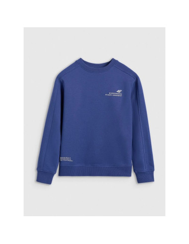 Bluza dresowa nierozpinana bez kaptura chłopięca 4f 4fjraw25tswsm2413-31s