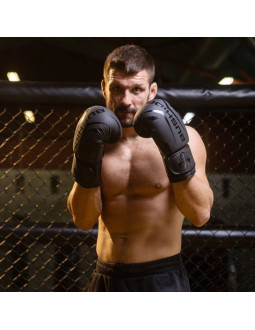 Rękawice bokserskie 10oz - raptor - origin series 2