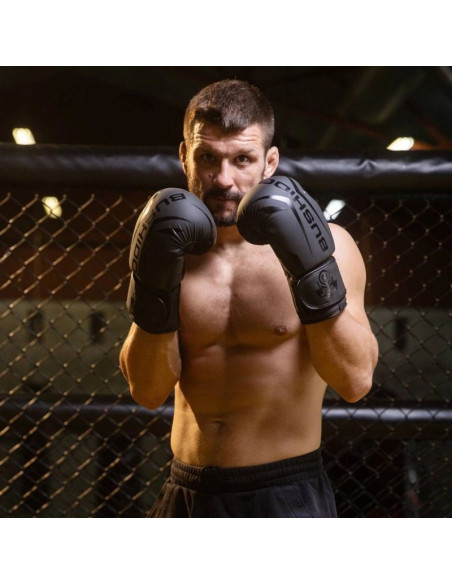 Rękawice bokserskie 10oz - raptor - origin series