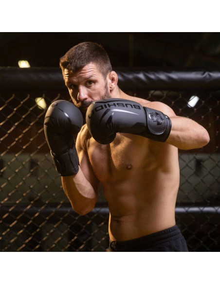 Rękawice bokserskie 10oz - raptor - origin series