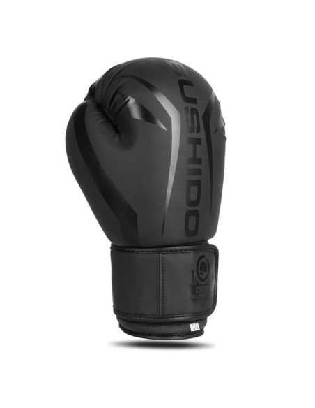 Rękawice bokserskie 10oz - raptor - origin series