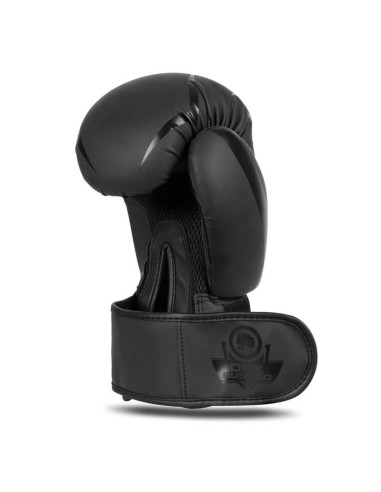 Rękawice bokserskie 10oz - raptor - origin series