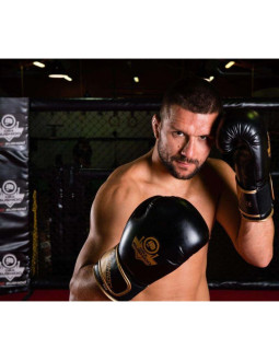 Rękawice bokserskie 10oz - infinity - origin series 2