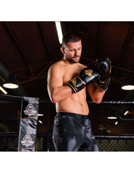 Rękawice bokserskie 10oz - infinity - origin series