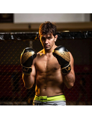 Rękawice bokserskie 8oz - hawk - origin series