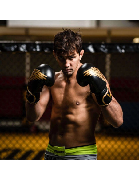 Rękawice bokserskie 8oz - hawk - origin series