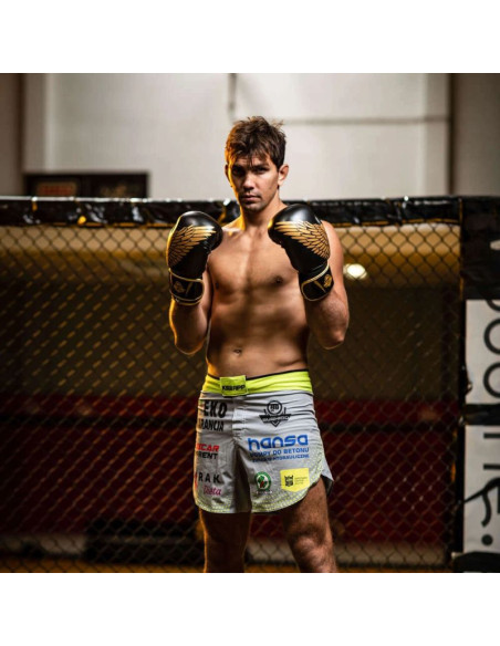 Rękawice bokserskie 8oz - hawk - origin series