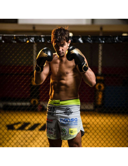 Rękawice bokserskie 8oz - hawk - origin series