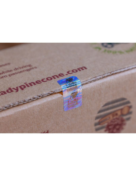 Zestaw pani szyszka horizontal travel 1 x pani szyszka + 1 mieszanka olejków eterycznych (lp-horizontal-travel)