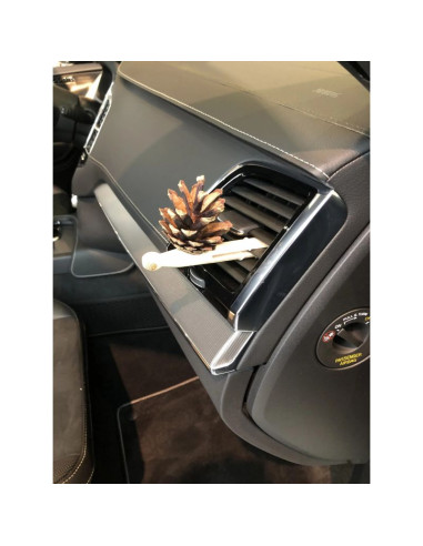 Zestaw pani szyszka horizontal travel 1 x pani szyszka + 1 mieszanka olejków eterycznych (lp-horizontal-travel)