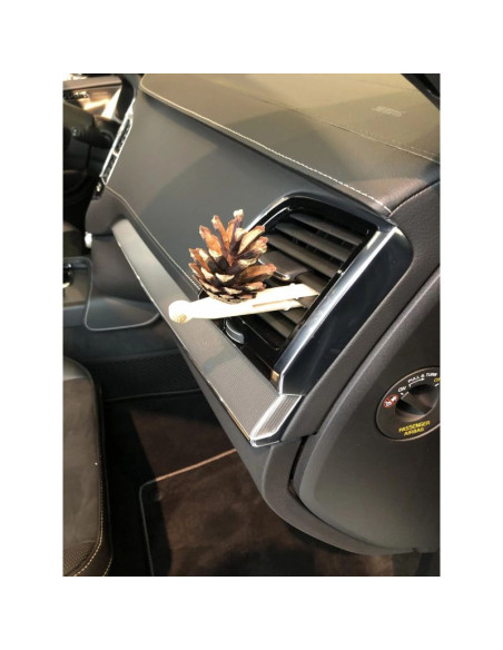 Zestaw pani szyszka horizontal travel 1 x pani szyszka + 1 mieszanka olejków eterycznych (lp-horizontal-travel)