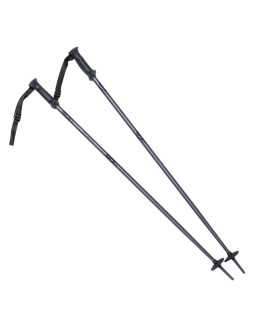 Kije alpine ski ii 2