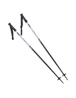 Kije alpine ski ii 2