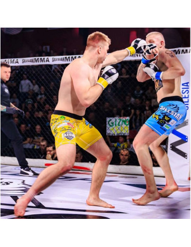 Rękawice mmasparingowe s/m - edge - valor series