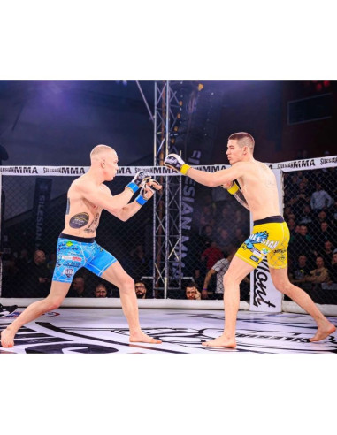 Rękawice mmasparingowe s/m - undefeated - valor series