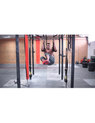 Dbx strap pro - wzmocnione uchwyty treningowe - ab sling strap