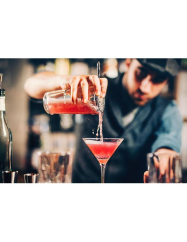 Zestaw barmański 5 elementów shaker do drinków szczypce alpina