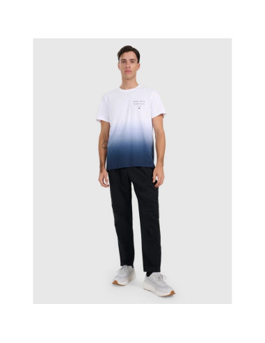 T-shirt regular z nadrukiem męski 4f 4fraw25ttshm3226-31s