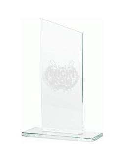 Trofeum szklane grawerowane 2