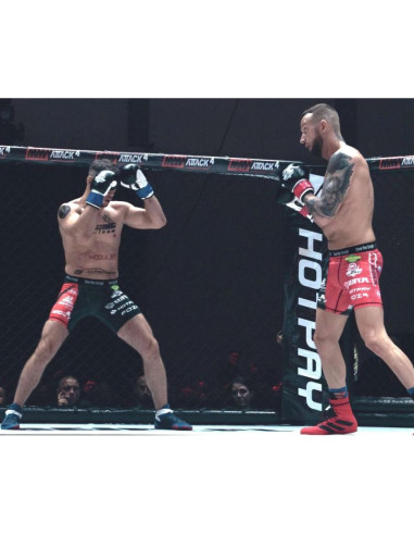 Rękawice bokserskie 10oz - classic white - origin series