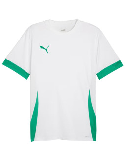Koszulka męska puma teamgoal matchday jersey biało-zielona 705747 15