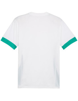 Koszulka męska puma teamgoal matchday jersey biało-zielona 705747 15 2