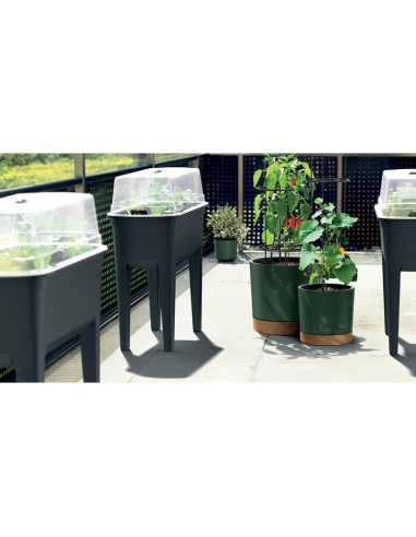 Doniczka do sadzenia pomidorów z drabinką pojemności 35l home grower antracyt