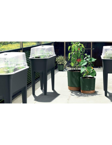 Doniczka do sadzenia pomidorów z drabinką pojemności 35l home grower antracyt