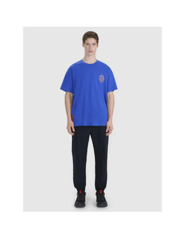 T-shirt oversize z nadrukiem męski 4f 4fwss25ttshm1979-36s