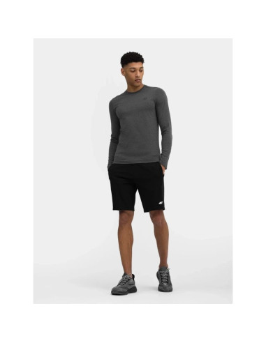 Spodenki  męskie dresowe 4f 4fwss25tshom0816-20s